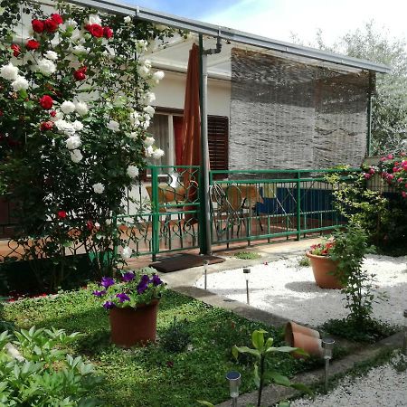 Vile Park Apartments Poreč Exteriér fotografie