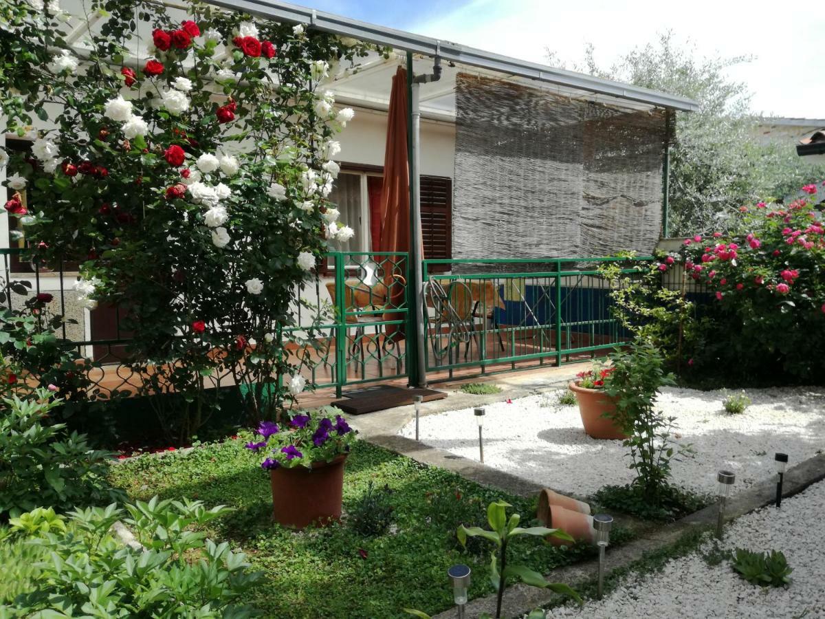 Vile Park Apartments Poreč Exteriér fotografie